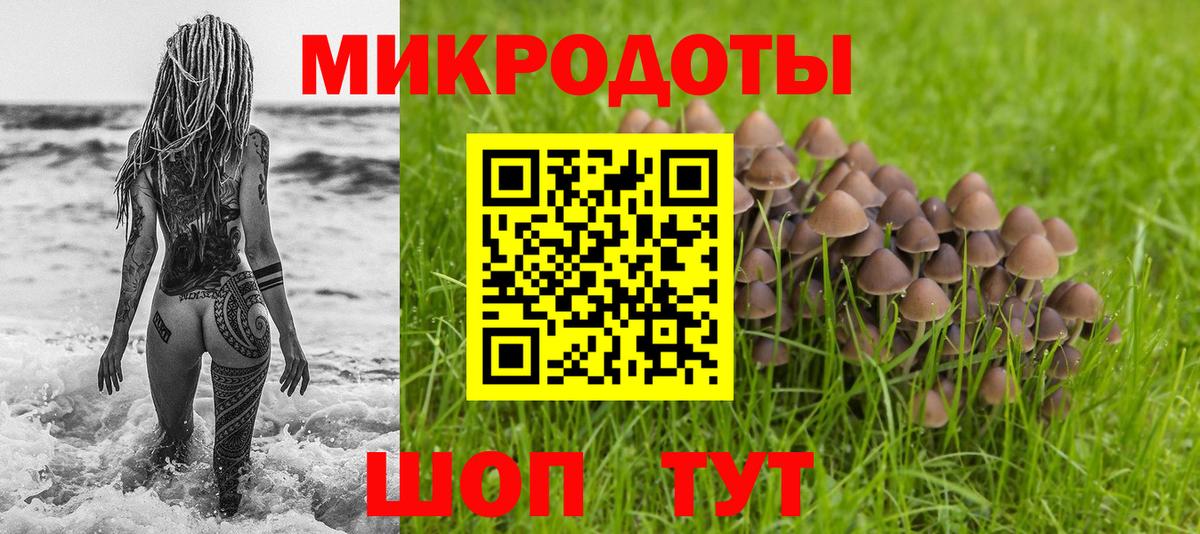 Галлюциногенные грибы Magic Shrooms  где найти наркотики  Новочебоксарск  Вход с VPN 