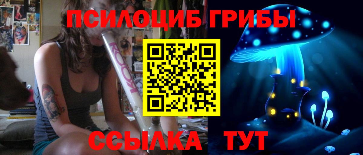 Псилоцибиновые грибы Psilocybe Новочебоксарск